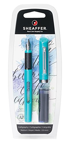 Load image into Gallery viewer, Sheaffer Viewpoint Calligraphy Fountain Pen with Medium Nib and 2 Ink Cartridges (1 Black &amp; 1 Blue)
