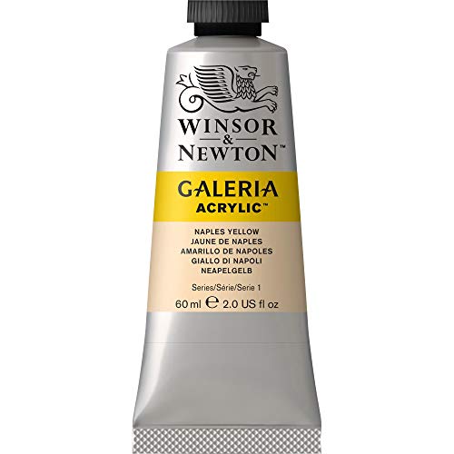 Winsor & Newton 2120422 Galeria Acrylic Paint, 60-ml Tube, Naples Yellow, 2 Fl Oz