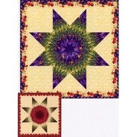 Load image into Gallery viewer, Animas Quilts Publishing Lone Star pattern
