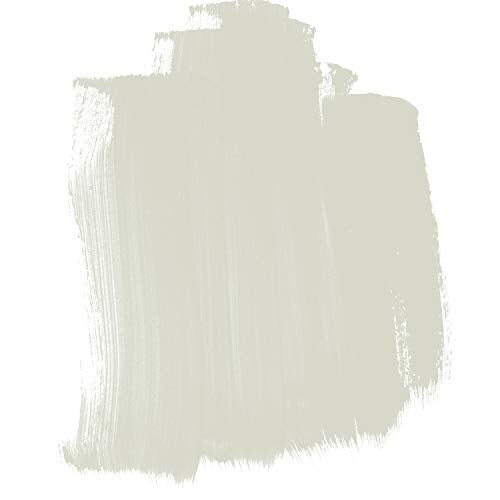 Load image into Gallery viewer, 4 Oz Heavy Body Iridescent Color Acrylic Paint Color: Pearl (Fine)
