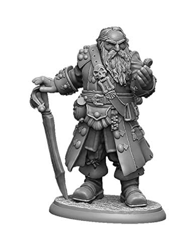 Load image into Gallery viewer, Reaper Dark Heaven Legends: Barnabus Frost Pirate Lord of Brinewind (04028)
