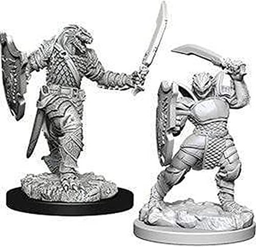 Load image into Gallery viewer, D&amp;D Nolzurs Marvelous Unpainted Miniatures: Wave 5: Dragonborn Female Paladin
