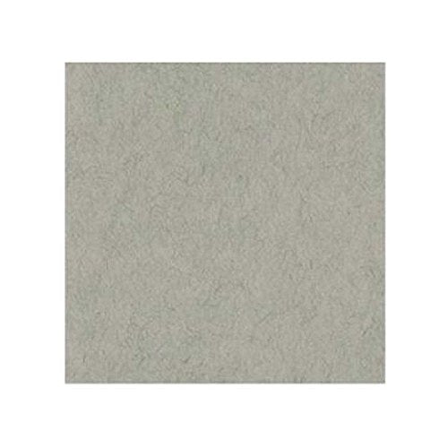 Strathmore 400 Series Toned Sketch Sheet, 80 lb. Paper, 19 X 24 inches, Gray (413-119)