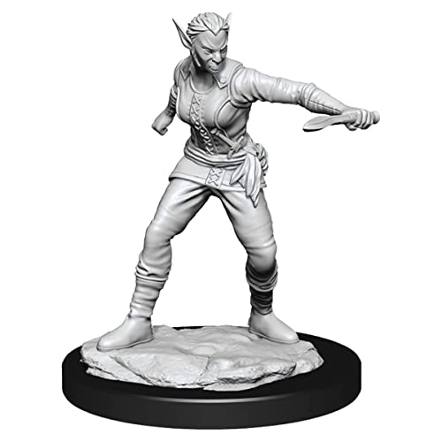 Load image into Gallery viewer, Dungeons &amp; Dragons Nolzur&#39;s Marvelous Unpainted Miniatures: Shifter Rogue (Female)
