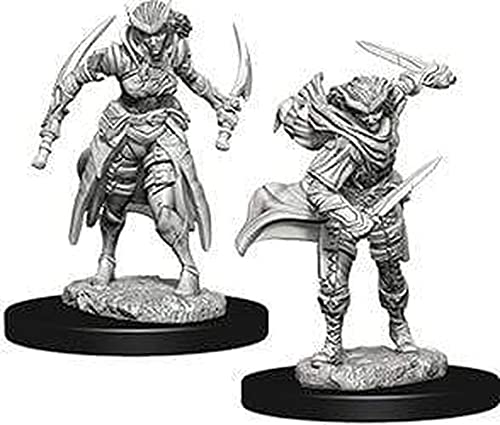 Load image into Gallery viewer, D&amp;D Nolzurs Marvelous Unpainted Miniatures: Wave 7: Tiefling Female Rogue
