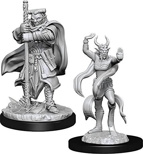 Load image into Gallery viewer, Dungeons &amp; Dragons Nolzur&#39;s Marvelous Unpainted Miniatures: Hobgoblin Devastator &amp; Iron Shadow
