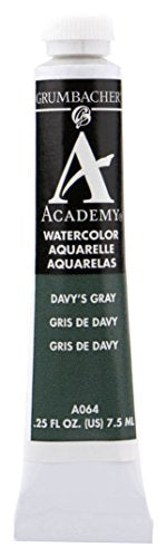 Load image into Gallery viewer, Grumbacher Academy Watercolor Paint, 7.5ml/0.25 oz., Davy&#39;s Gray (A064)
