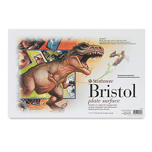 11X17 2 PLY Plate Bristol 24/Pack